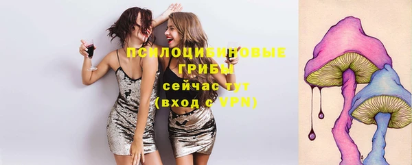 МДПВ Алексин