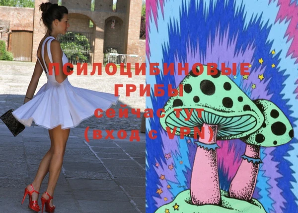 дживик Алзамай