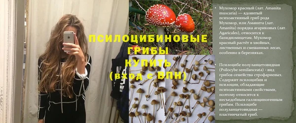 индика Абаза