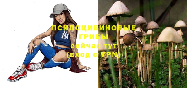 дживик Алзамай