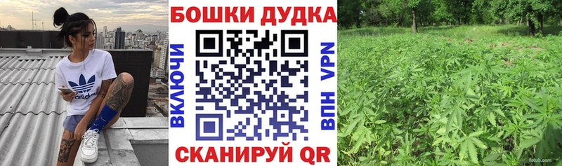 Конопля Amnesia  как найти закладки  Лабытнанги 